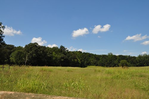Property photo 2 - 1,575+/- Acres Offered in 23 Tracts